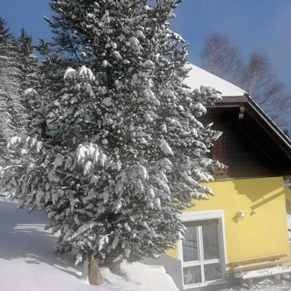 Holiday home in Prebl Carinthia near ski area，位于Kliening的酒店