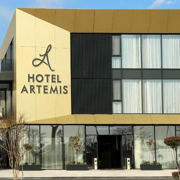 Hotel Artemis，位于Leş的酒店