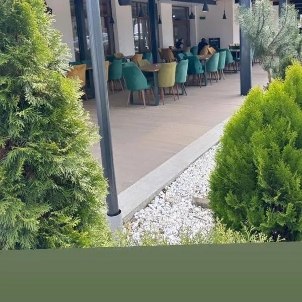 Hotel Elyon Dej，位于Bîrsău Mare的酒店