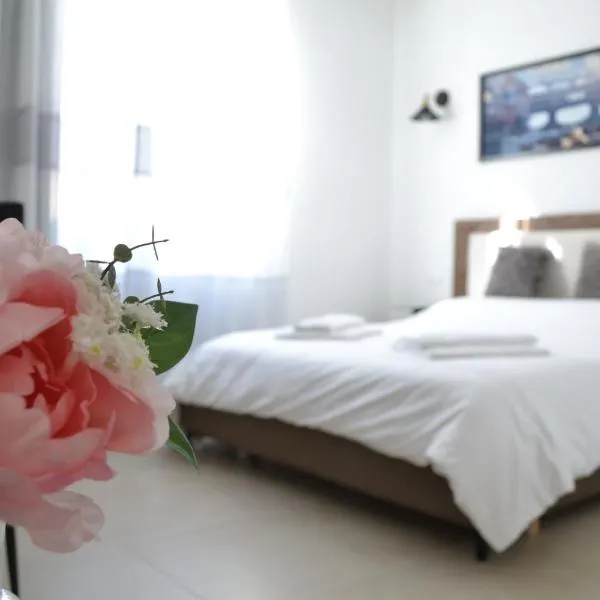 Dion Guest House，位于佛罗伦萨的酒店