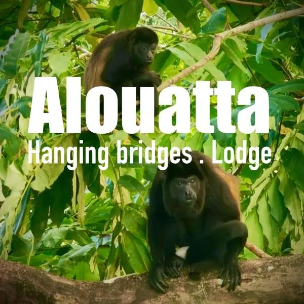 Alouatta Lodge and Canopy，位于Hone Creek的酒店