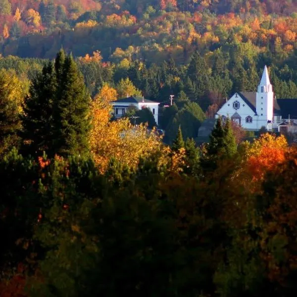 Your Cozy Cabin Retreat，位于Saint-Rémi-dʼAmherst的酒店