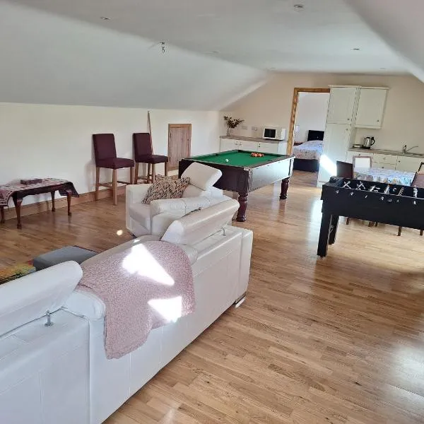 The Attic，位于基尔肯尼的酒店