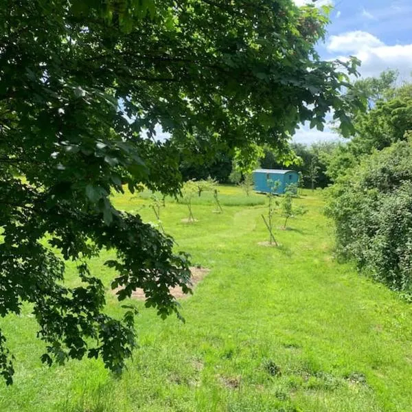 Woodpecker Shepherd Hut with private facilities Newmarket CB8，位于剑桥的酒店