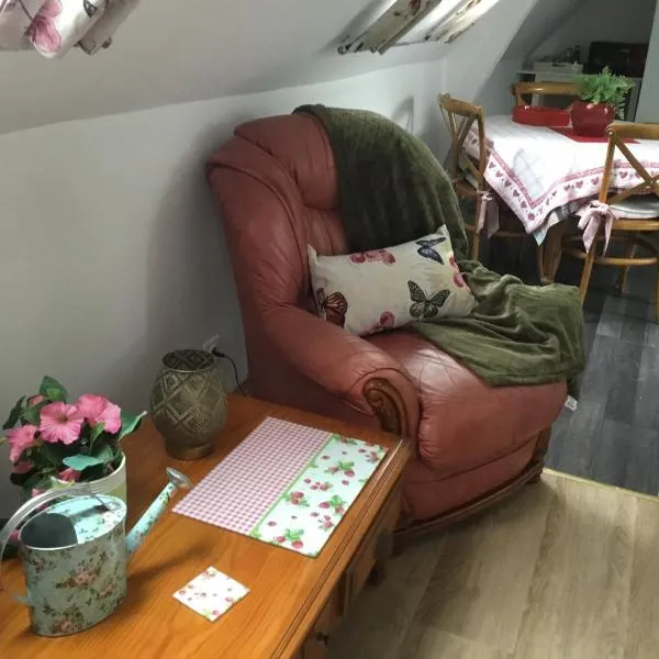 Appartement une chambre Avec Jardin，位于阿尔奎斯的酒店