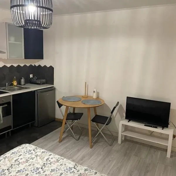 Studio One proche ligne 14 Kremlin Bicêtre，位于阿尔克伊的酒店