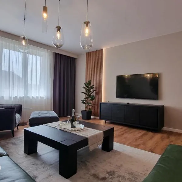 Nico's stylish Apartment，位于萨图马雷的酒店