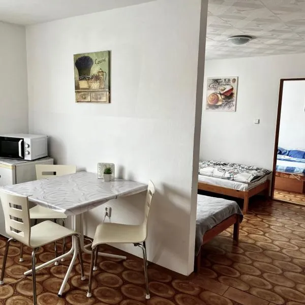 Ubytování U Ropáků，位于Horní Slavkov的酒店