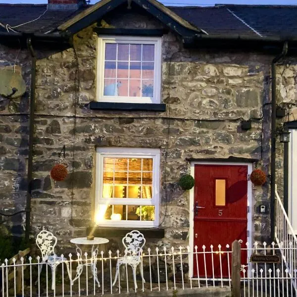 Maytree Cottage. Compact home in Mid Wales.，位于Llanrhaeadr-ym-Mochnant的酒店