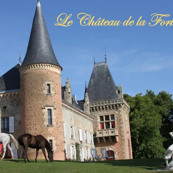 Château de la Forie，位于Saint-Étienne-sur-Usson的酒店