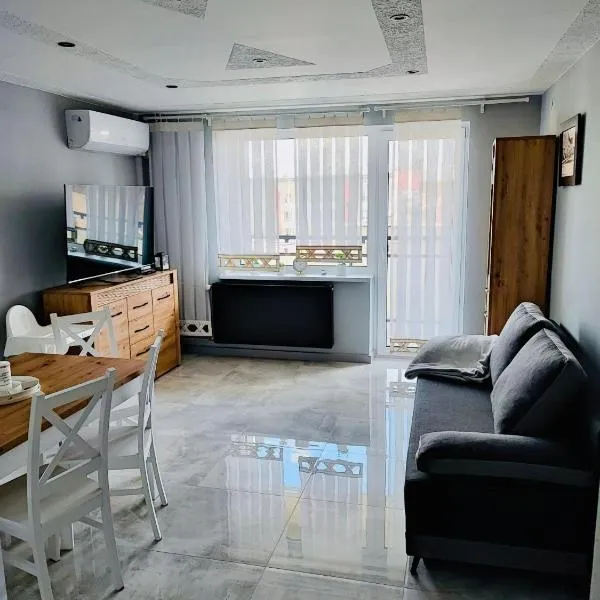 Apartament Kościuszko，位于Głogówek的酒店