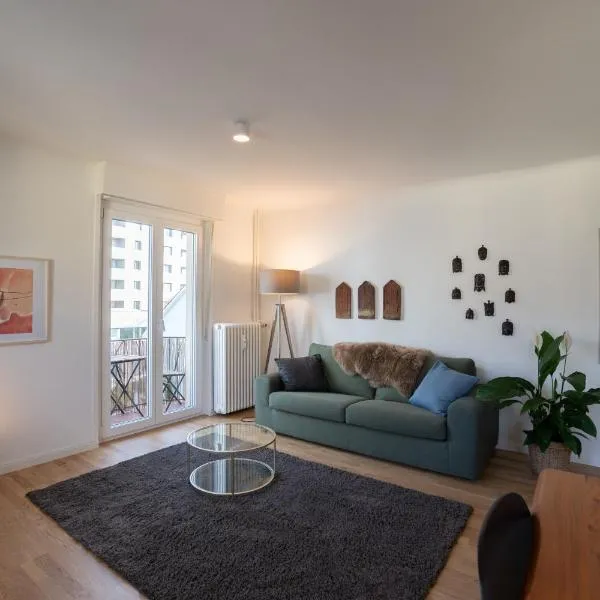 Jungstay Apartments- near Basel，位于巴塞尔的酒店