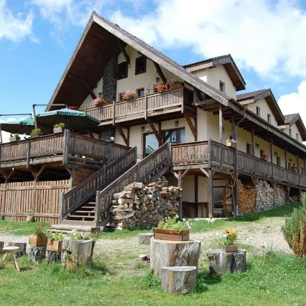 莫蒂小屋旅馆，位于Rişca的酒店