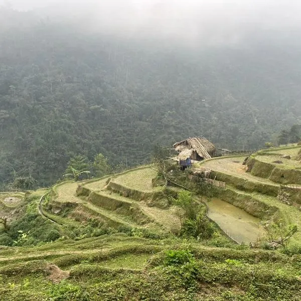 Bikki jungle homestay，位于Tụ Nhân的酒店