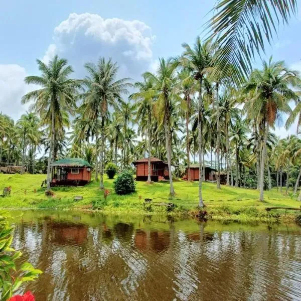 Caliraya Ecoville Recreation and Farm Resort，位于Ilog Patulo的酒店
