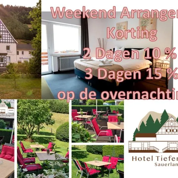 Hotel Tiefenhagen Sauerland，位于Silberg的酒店