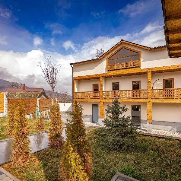 Taniqinn Dilijan Hotel，位于Golovino的酒店