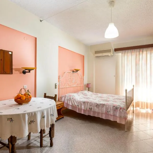 Cozy Archangelos apartments with private parking，位于阿彻奇洛斯的酒店