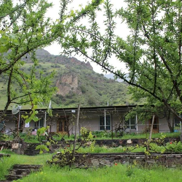 Tirebi Farmhouse，位于阿斯平贾的酒店