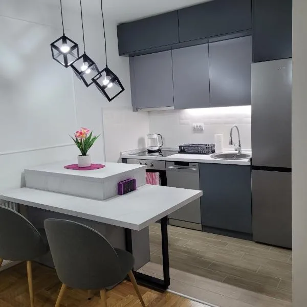 Apartman NS PRIVATE PARKING，位于诺维萨德的酒店