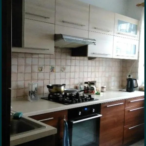 Apartament Stalowa Wola centrum，位于斯塔洛瓦沃拉的酒店