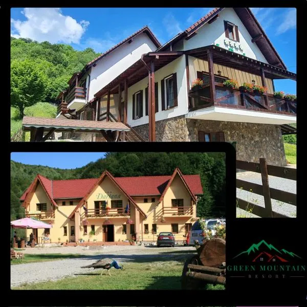 Green Mountain Resort，位于Scrind-Frăsinet的酒店