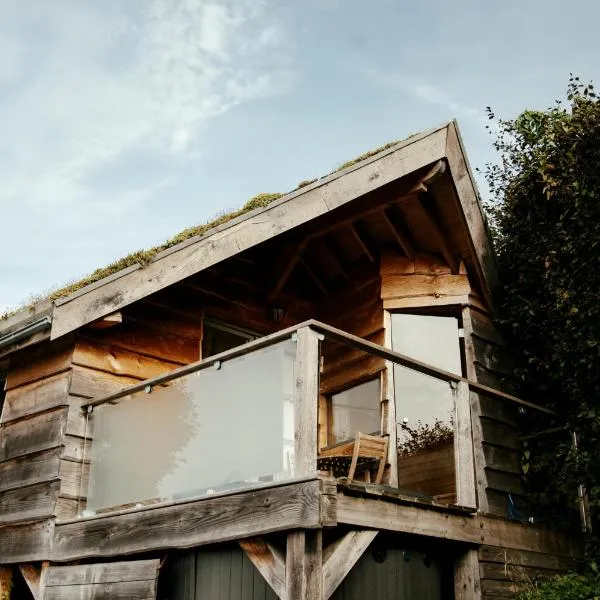 L'Escale Zen - Tiny House (Jacuzzi/Sauna)，位于特镇的酒店