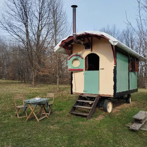 Shepherd's hut in nature，位于Topusko的酒店