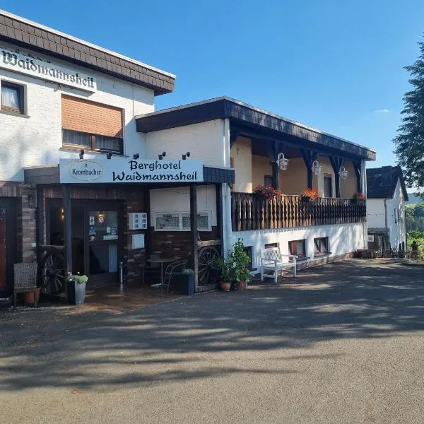 韦德门希艾尔贝格酒店，位于Hatzfeld的酒店