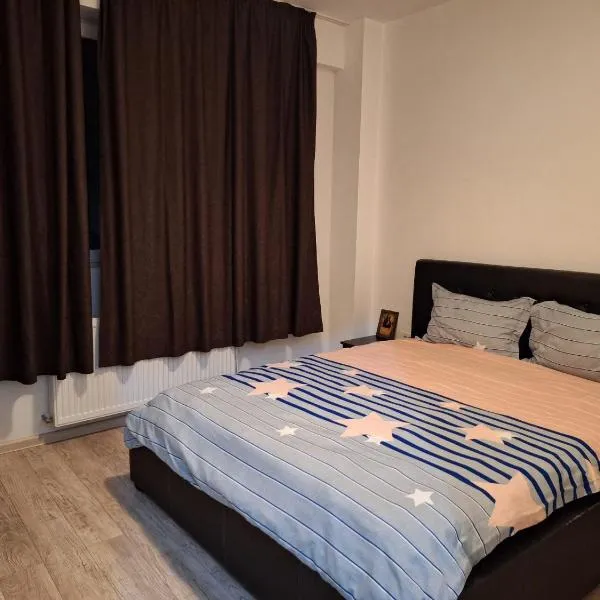 Cazare Regim Hotelier apartament 2 camere Militari，位于Roşu的酒店