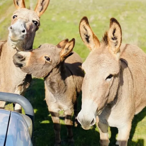 Sandalwood Downs Fabulous Farm Stay TOODYAY，位于Toodyay的酒店