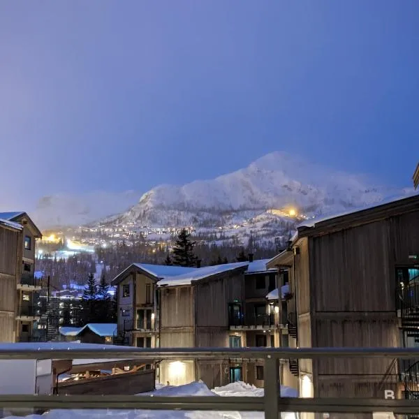 Ski in/out Appartment Hemsedal，位于海姆瑟达尔的酒店