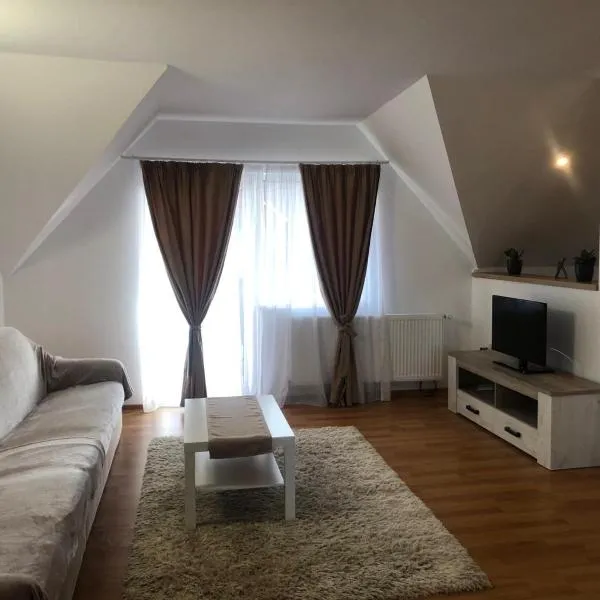 Stefan Apartment，位于锡比乌盐矿镇的酒店