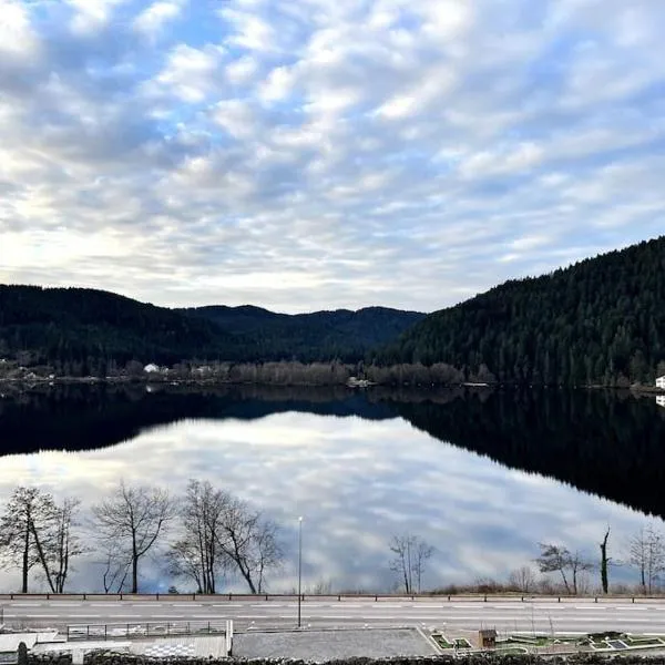 Appartement Neuf VUE LAC 6/8pers，位于热拉梅的酒店
