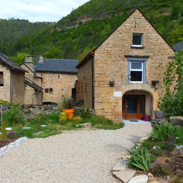Gîte le Nid du Colibri - 12 pers，位于Brenoux的酒店