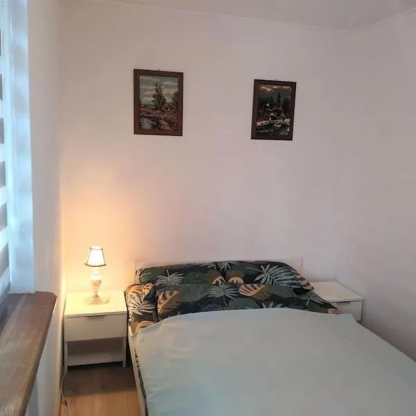 Center Sziget Apartman，位于Lueta的酒店