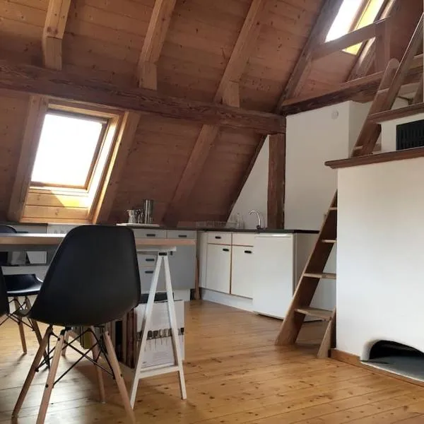MAISONTTE STUDIO IN EHEMALIGER SCHEUNE nicht für Montageteams geeignet，位于施瓦格明德的酒店