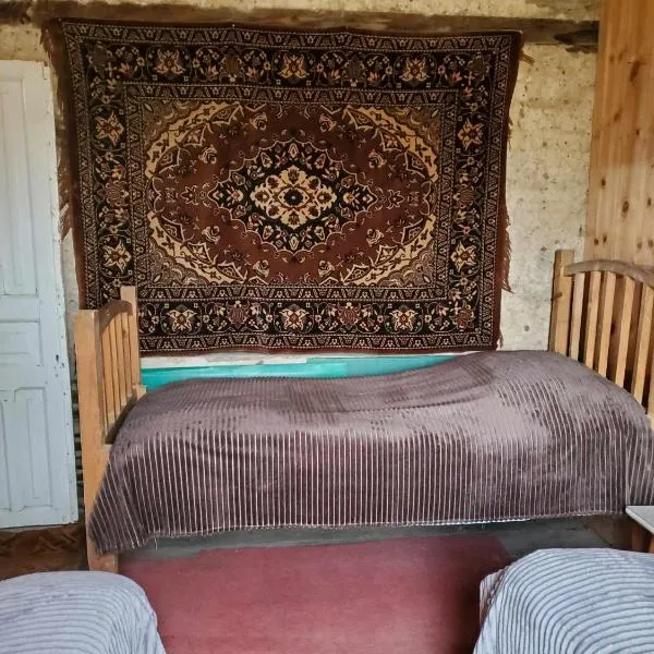 paradise of tusheti，位于Omalo的酒店
