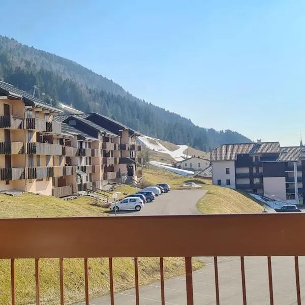 Appartement Lélex vue sur les pistes，位于米茹的酒店