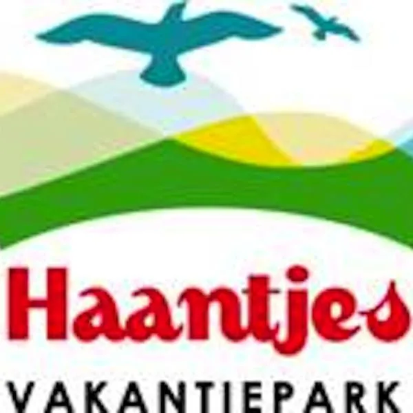 Haantjes Vakantiepark，位于西泰尔斯海灵的酒店