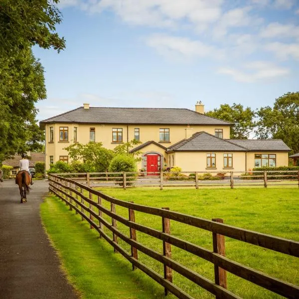 Cahergal Farmhouse B&B，位于Clarecastle的酒店