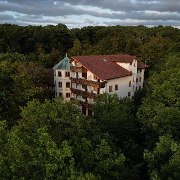 Hotel-Restaurant Kreuzberghof Tagungs- und Veranstaltungshotel，位于蒂芬巴赫的酒店