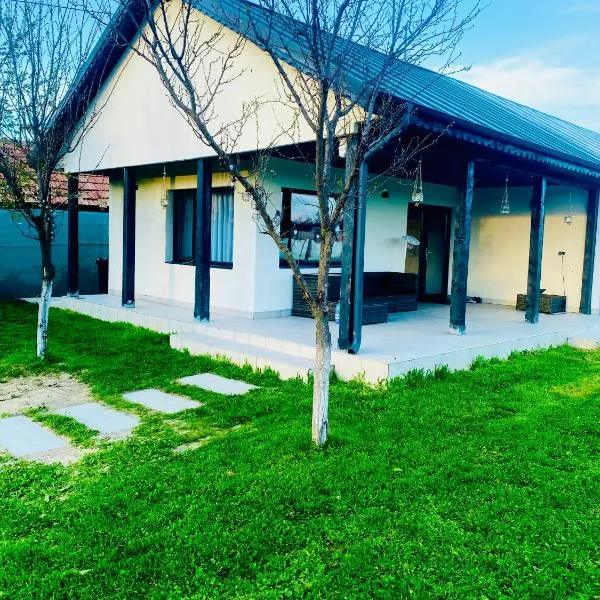 Tacchini's Home，位于Plosca的酒店