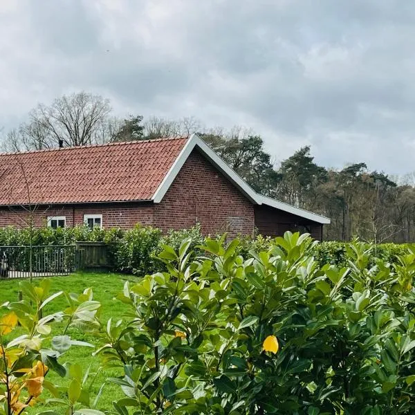 B&B Hoeve Fraai Achterhoek，位于Varsseveld的酒店