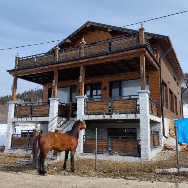 Villa Victoria in Bakuriani，位于巴库里阿尼的酒店