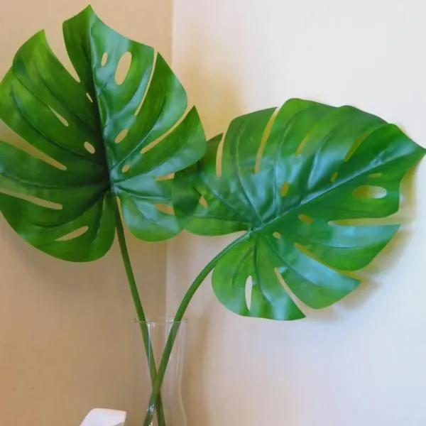 Fall Asleep hotel，位于暖武里府的酒店