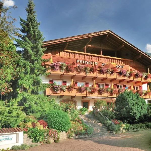 Pension Alpenhof，位于Stulles的酒店