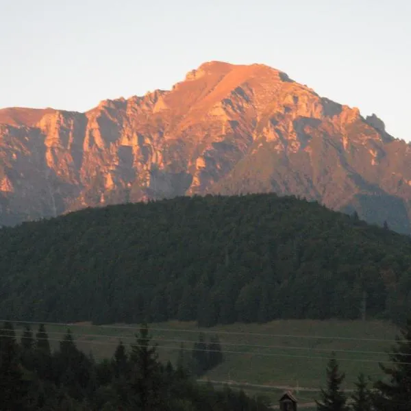 Mountain view apartment Predeal，位于普雷代亚尔的酒店