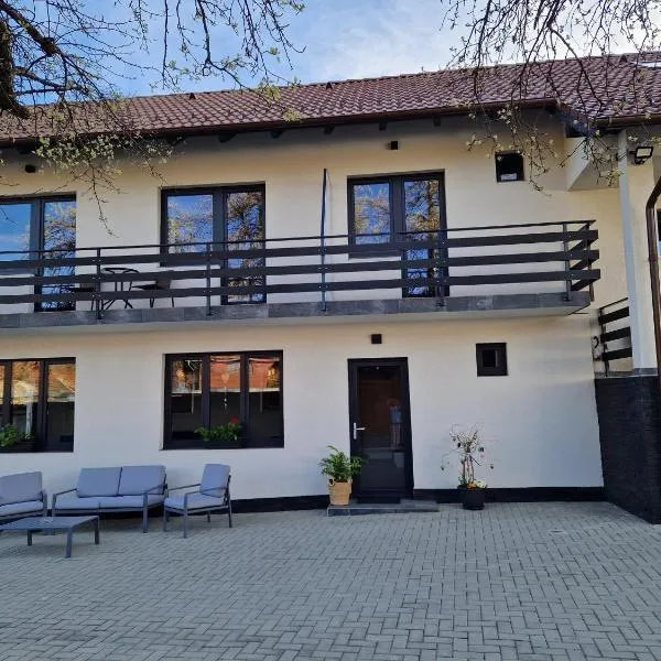 Casa 7 SATE apartament，位于Purcăreni的酒店