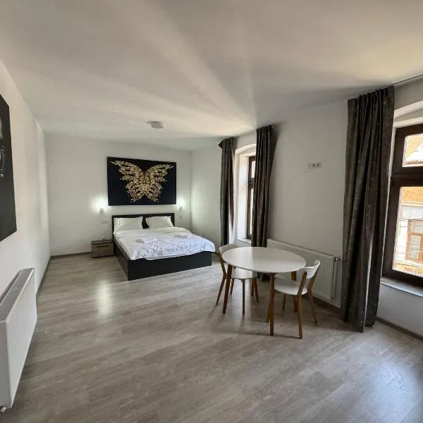 Central cozy apartment，位于Bîrsău Mare的酒店